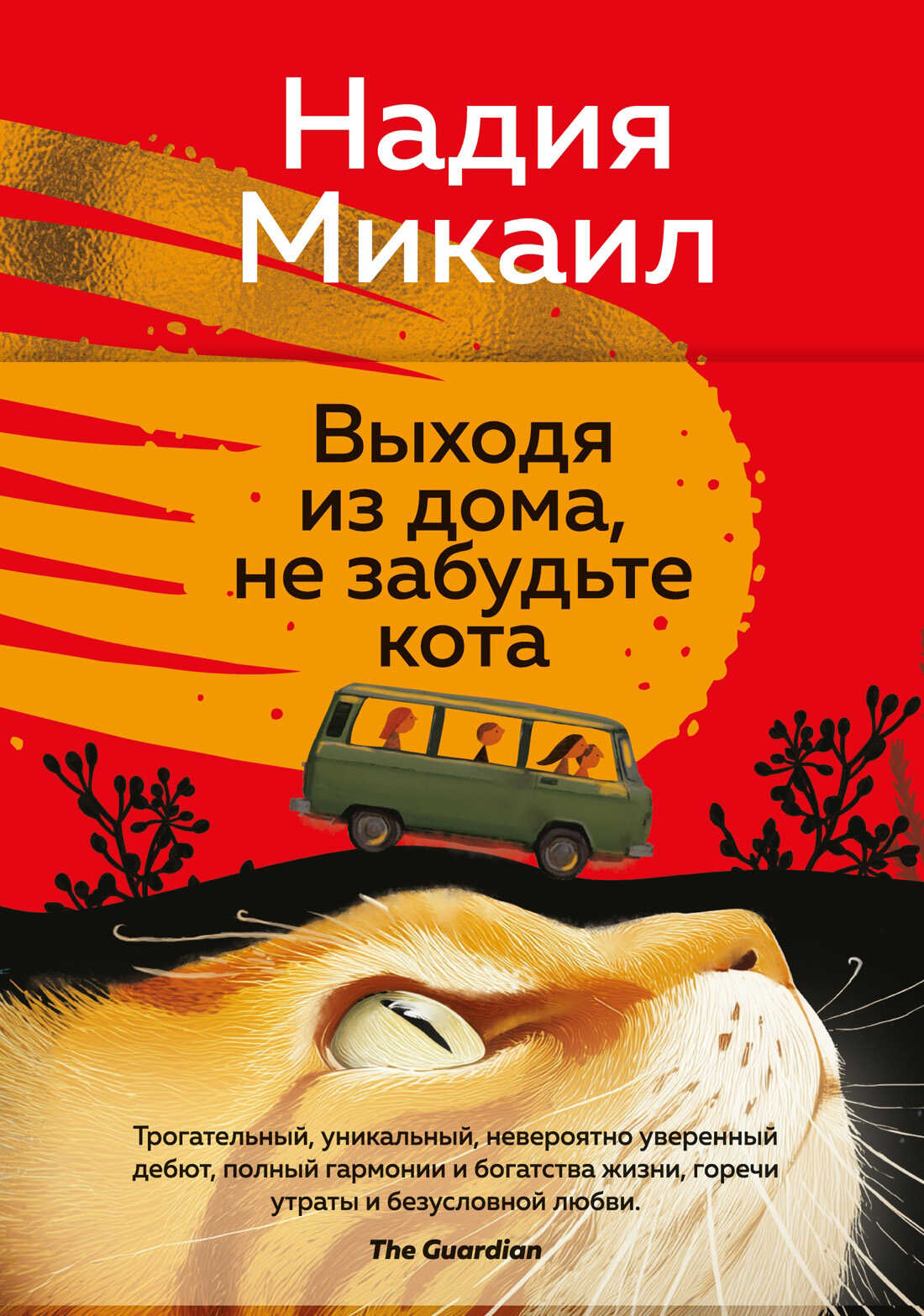 Выходя из дома, не забудьте кота - Надия Микаил