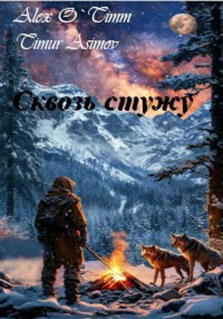 Сквозь стужу - Алекс Войтенко
