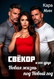 Свёкор и его друг. Новая жизнь под Новый год - Кара Мин