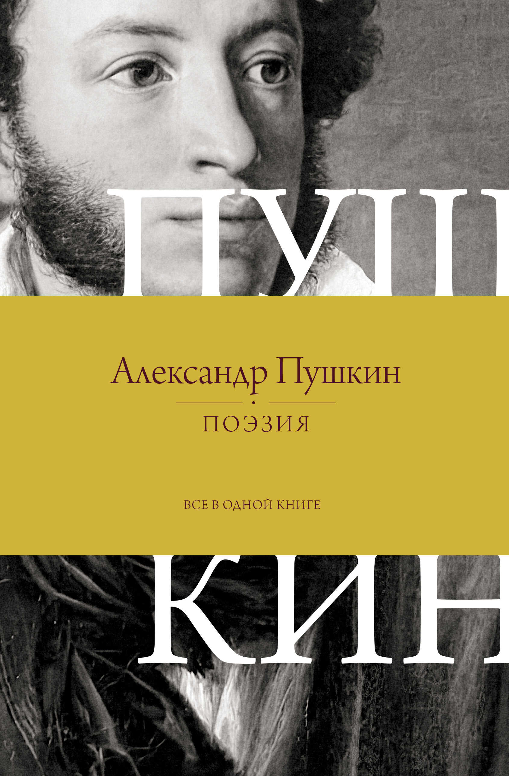 Поэзия. Все в одной книге - Александр Сергеевич Пушкин