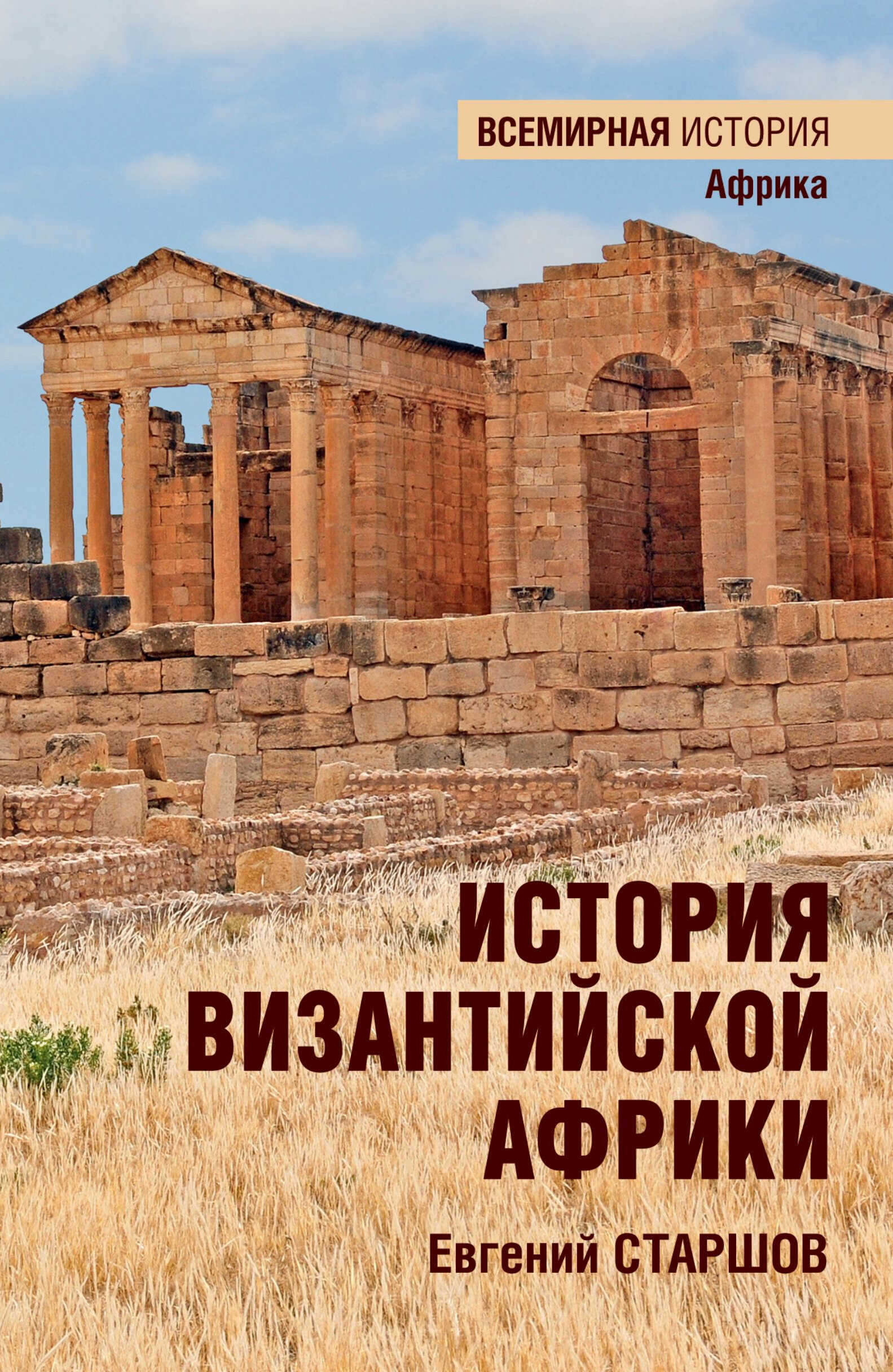 История Византийской Африки. От войн Велизария до гибели Африканского экзархата - Евгений Викторович Старшов