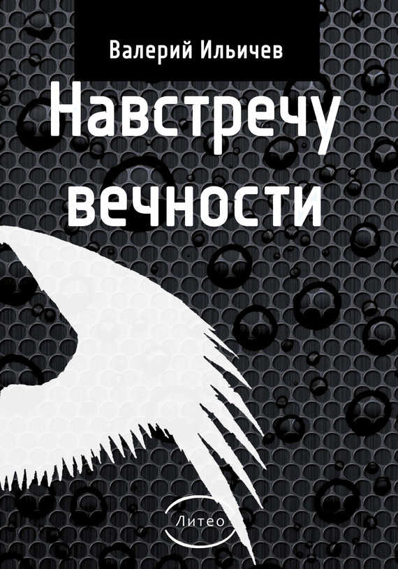 Навстречу Вечности - Валерий Аркадьевич Ильичёв