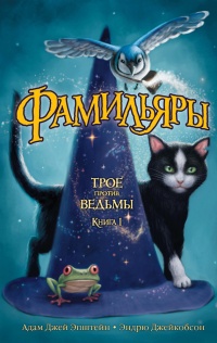 Фамильяры. Книга 1. Трое против ведьмы - Эндрю Джейкобсон