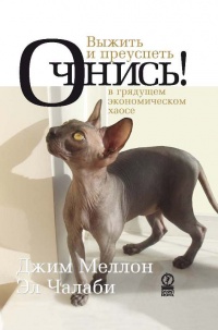 Очнись! Выжить и преуспеть в грядущем экономическом хаосе - Эл Чалаби