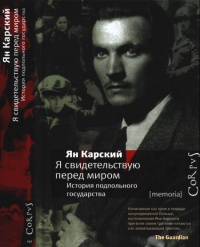 Я свидетельствую перед миром. История подпольного государства - Ян Карский